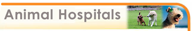 animal hospitals and veterinarians